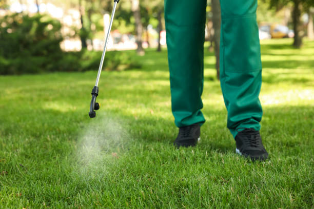 Best Residential Pest Control  in Fayette, AL
