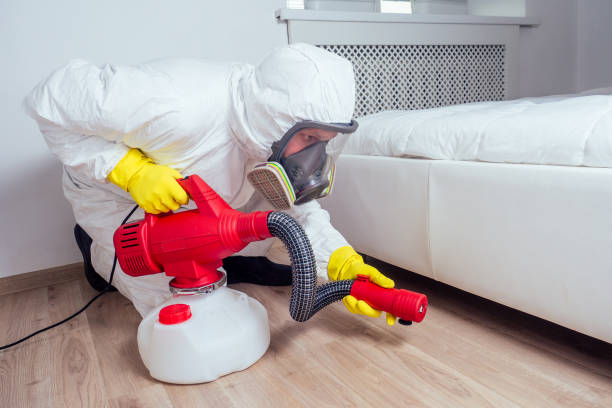 Best Pest Inspection Near Me  in Fayette, AL