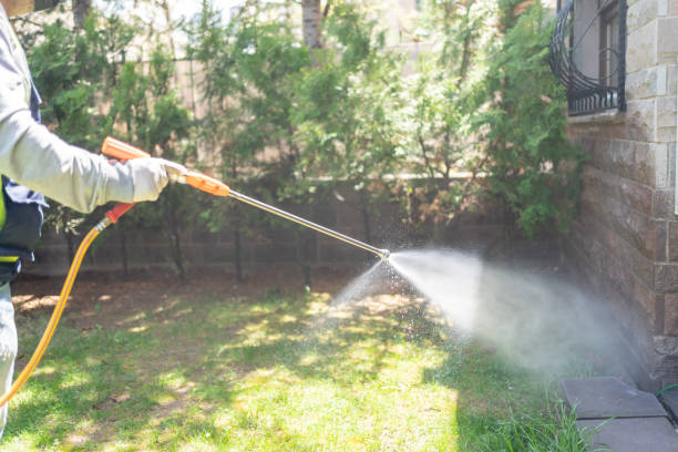 Trusted Fayette, AL Pest Control Experts