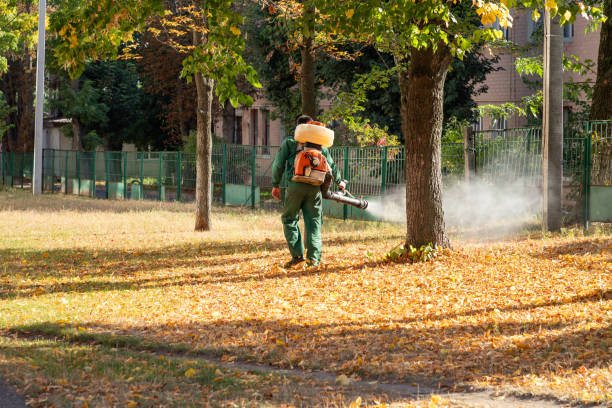 Best Wasp Removal Services  in Fayette, AL