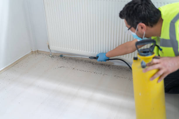 Best Pest Prevention Services  in Fayette, AL