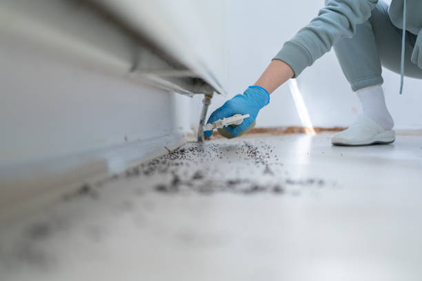 Best Wildlife Control Services  in Fayette, AL